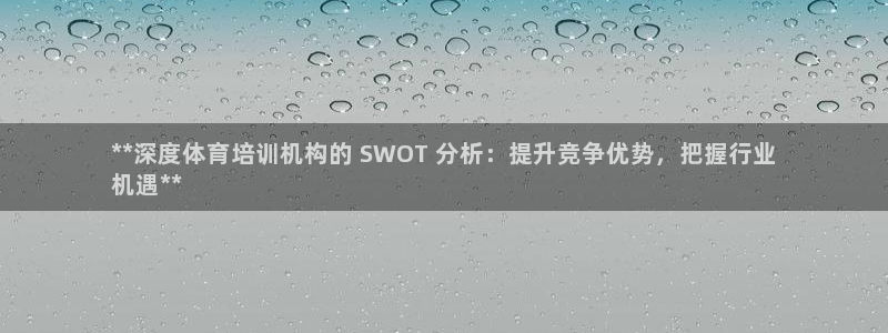 富联大厦：**深度体育培训机构的 SWOT 分析：提