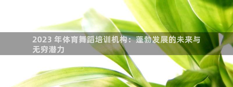 富联申购中签号：2023 年体育舞蹈培训机构：蓬勃发