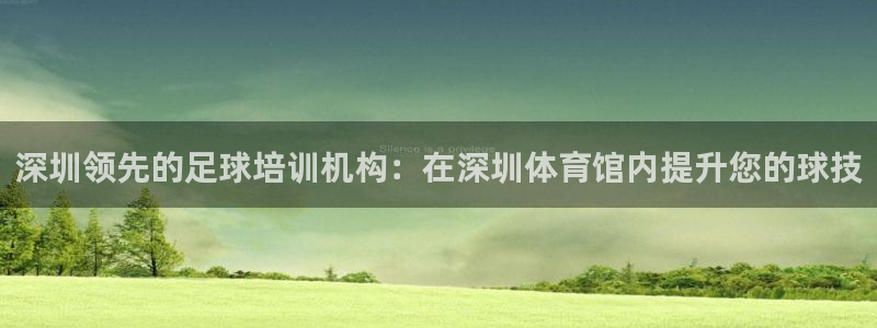 富联平台上级下级是什么意思：深圳领先的足球培训机构：在深圳体