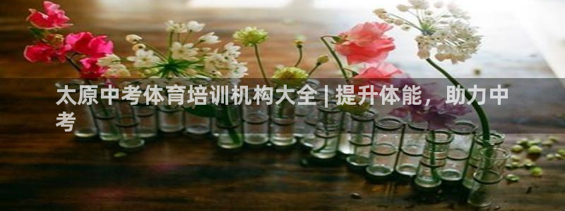 富联娱乐登录注册不了：太原中考体育培训机构大全 | 