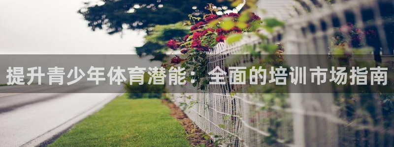 富联平台总代理是谁：提升青少年体育潜能：全面的培训市